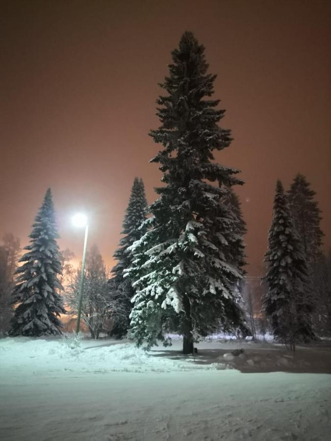 شقة Kontiomäki المظهر الخارجي الصورة
